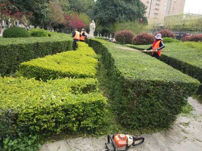 屋面简易防水绿化工程